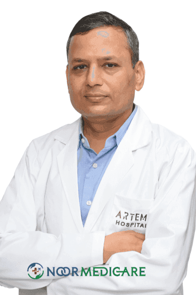 Dr. Rahul Naithani