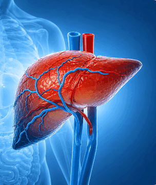 Split Liver Transplant